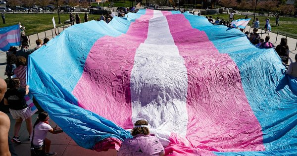 A person holding a transgender pride flag at an outdoor rally